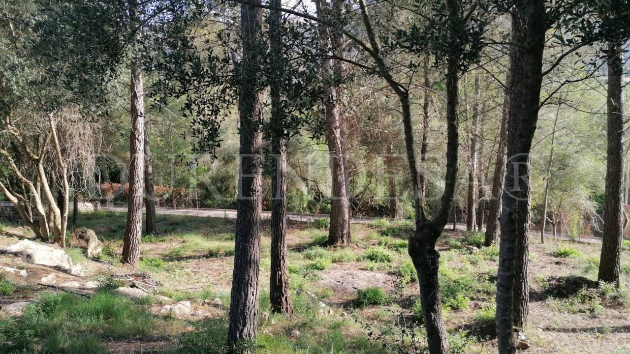 Plot in Puigpunyent by 159.990€_5