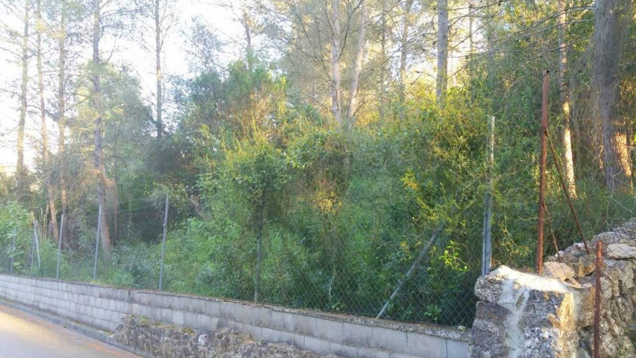 Plot in Puigpunyent by 159.990€_8