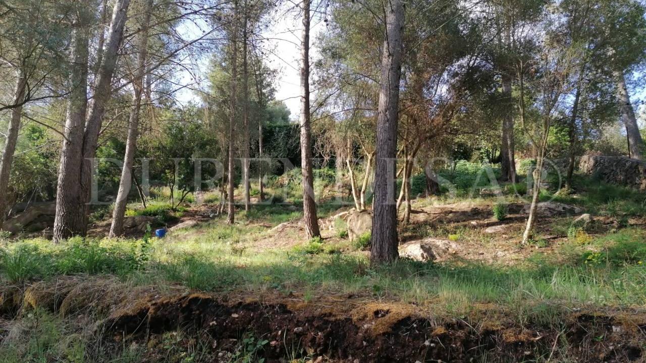 Plot in Puigpunyent by 159.990€_3