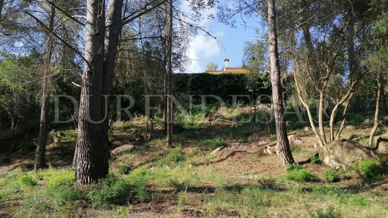 Plot in Puigpunyent by 159.990€_4