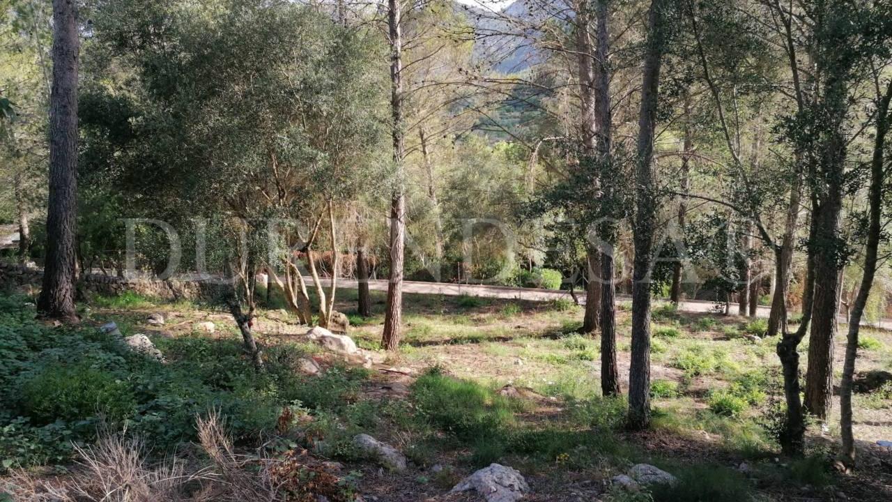Plot in Puigpunyent by 159.990€_10