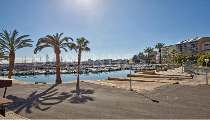 /ESP/Propiedad/en-venta/Piso-en-Palma-de-Mallorca-El-Terreno/002592